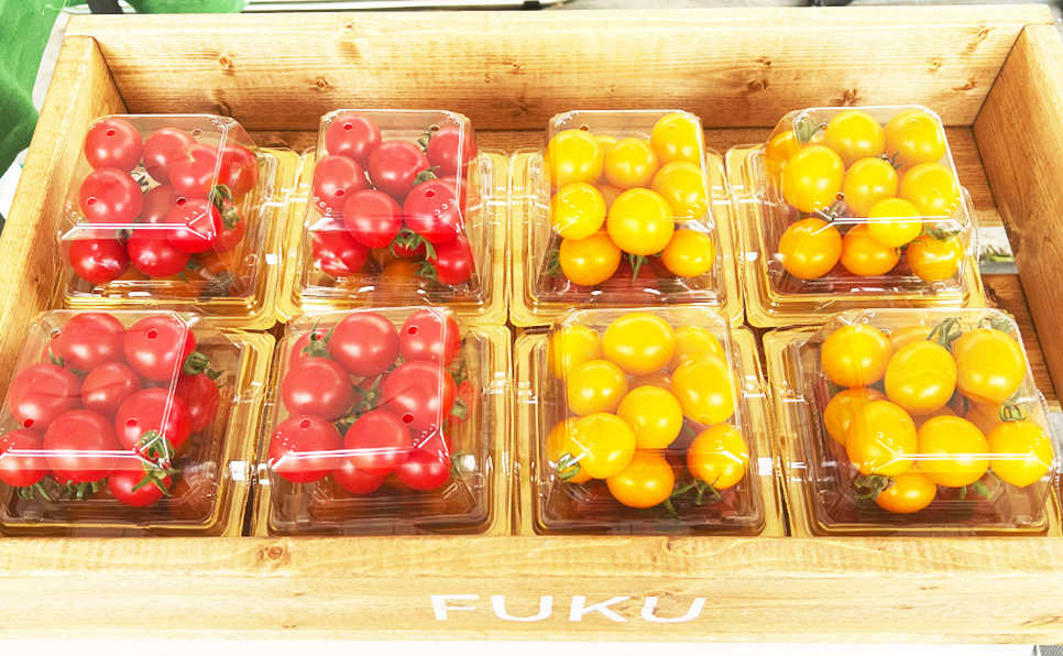 tomato_fuku